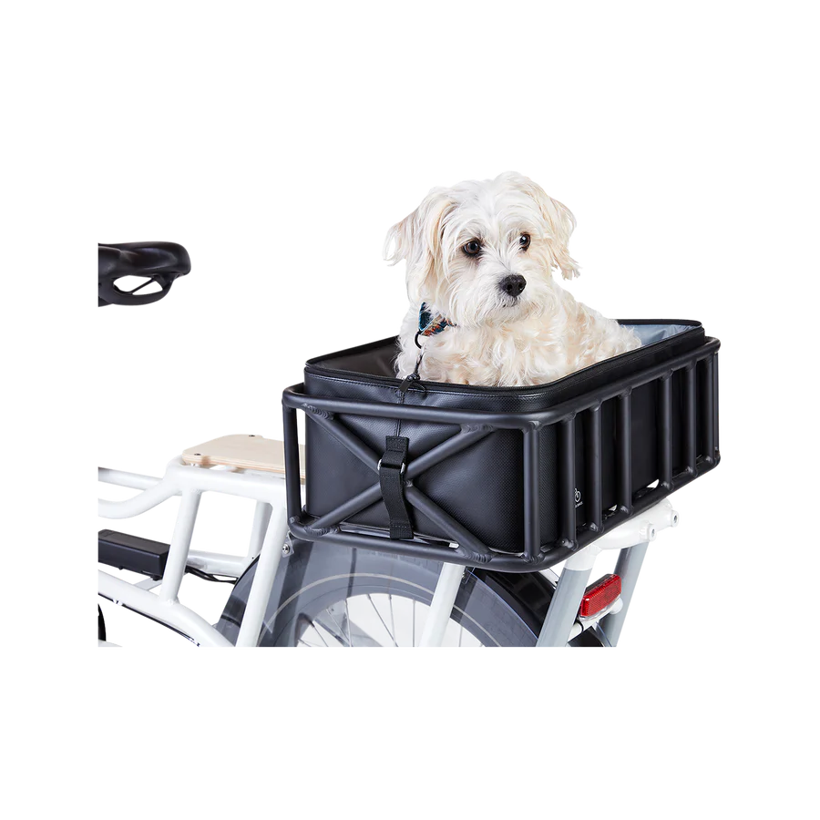 Transportador de cesta para mascotas