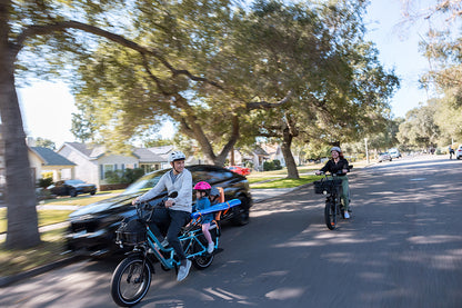 RadWagon™ 5 Eléctrica utilitaria