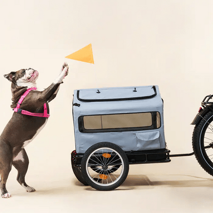 Bike Adapter